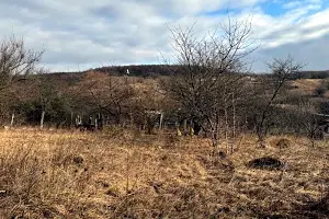 участок по адресу 5-й Терновий проїзд