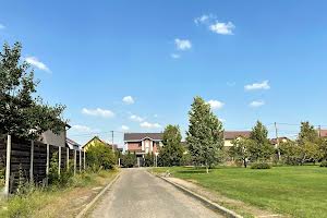 будинок за адресою Лебедина