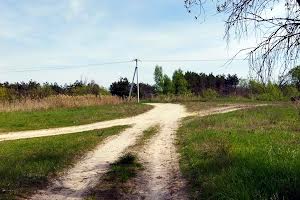 участок по адресу с. Дружня, Андріївська, 9