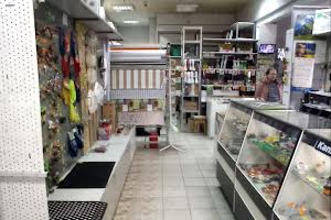 комерційна за адресою Вишгород, Київська вул., 3 б