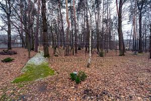 будинок за адресою с. Дмитрівка, Бучанський