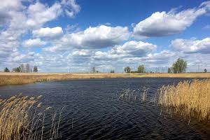 ділянка за адресою с. Литвинівка, Ленінна