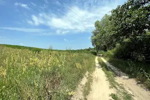 ділянка за адресою с. Забір'я, 