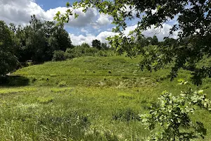 ділянка за адресою Центральна