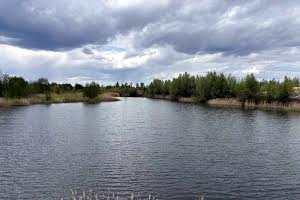 ділянка за адресою с. Козинці, 