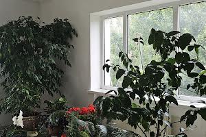 будинок за адресою смт. Високий, Паркова, 6