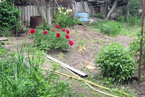 будинок за адресою Федьковича пров.