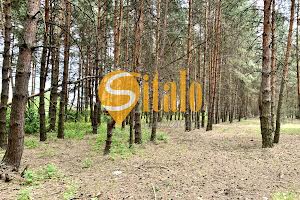 ділянка за адресою с. Проців, 