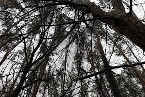 ділянка за адресою Землебудівельна вул.
