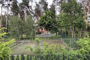будинок за адресою с. Романків, Лесная