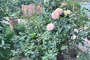 будинок за адресою Садова вул., 46