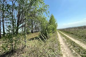 ділянка за адресою с. Михайлівка-Рубежівка, 