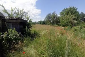 будинок за адресою с. Власівка, Вереснева, 12