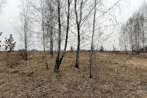 участок по адресу пгт. Ворзель, 