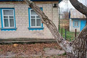 дом по адресу Благовісна