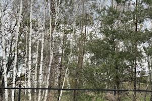 будинок за адресою Ворзельська вул.