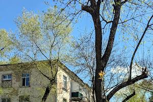 квартира за адресою Арсенія Тарковського вул. (Володарського), 16 к4