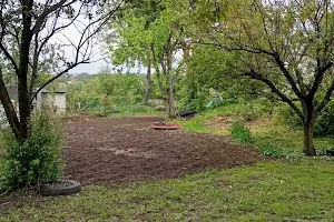 дом по адресу Южный пер., 8А