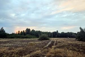 участок по адресу пгт. Козин, 