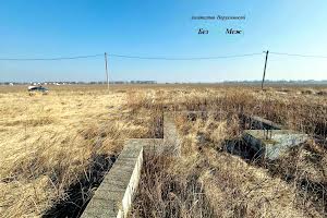 участок по адресу Борисполь, Полевая ул.
