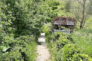 будинок за адресою с. Вахівка, Київська