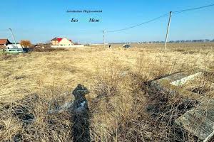 участок по адресу Борисполь, Полевая ул.