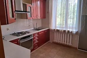 дом по адресу Криничная ул.