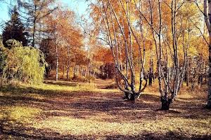 квартира за адресою с-ще. Комуніст, докучаева, 2