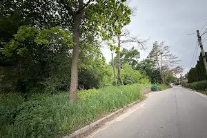 ділянка за адресою Лісова вул.