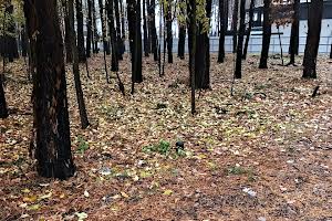 участок по адресу Лесной пер.