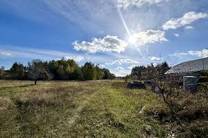 ділянка за адресою с. Здвижівка, Чубаря