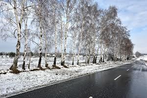 ділянка за адресою с. Залісся, Сагайдачного