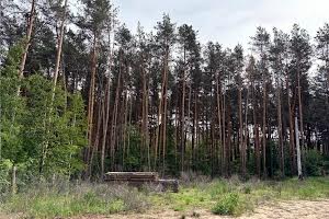 участок по адресу Радистов пер., 11А