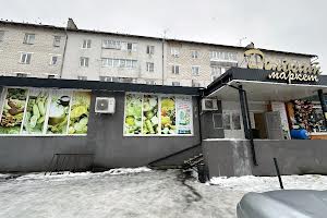 комерційна за адресою Володимирська вул., 103