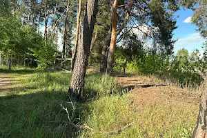 участок по адресу Луговая ул.