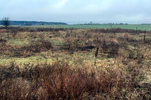 ділянка за адресою смт. Бабинці, 