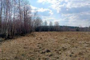 ділянка за адресою с. Глібівка, Лесі Українки, 59