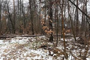 участок по адресу пгт. Ворзель, Котляревського, 53