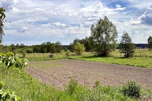будинок за адресою с. Вахівка, Київська