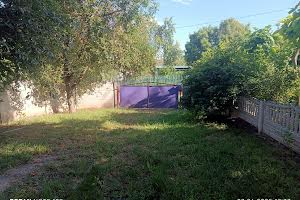 будинок за адресою с. Антонівка, Лесі Українки