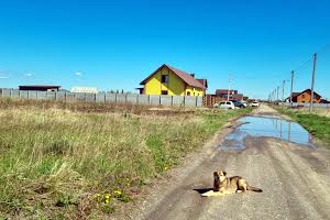 участок по адресу с. Лычанка, Весняна, 60