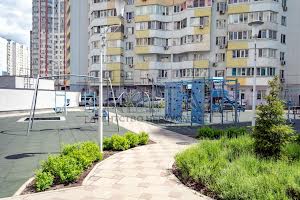 комерційна за адресою Олени Пчілки вул., 7