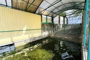 дом по адресу Київський провулок, 111