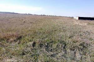 ділянка за адресою с. Колонщина, Софіївська