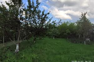 ділянка за адресою с. Велика Вільшанка, Виноградна