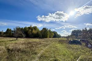 ділянка за адресою с. Здвижівка, Чубаря