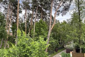 будинок за адресою с. Романків, Лесная