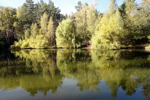 ділянка за адресою Кругла