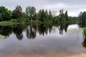 ділянка за адресою Київська