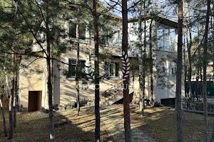 будинок за адресою с. Козин, Соловьяненко